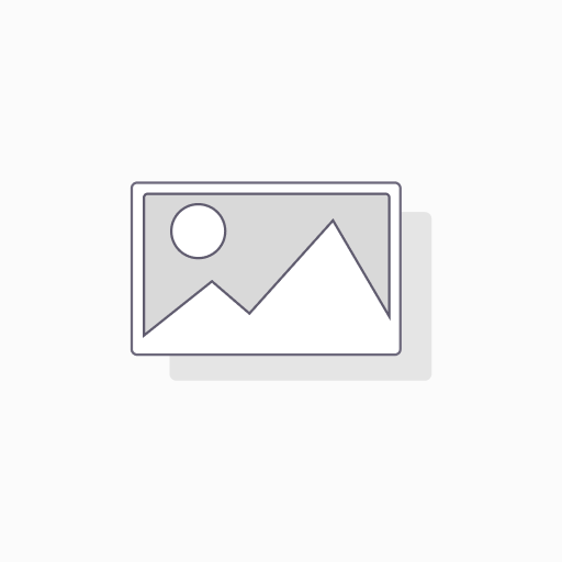 (KO Validated) hnRNP E1/PCBP1 Polyclonal Antibody