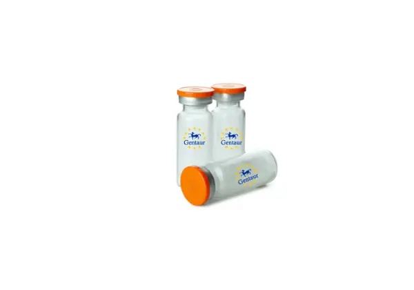 [GEN - PTN525-1mg] Vimentin Bovine